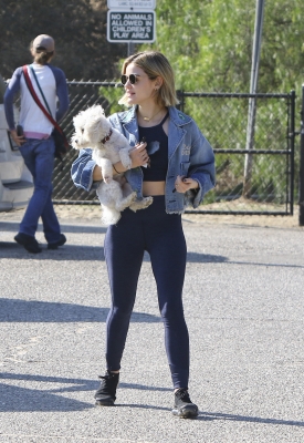 dogpark201118-099.jpg