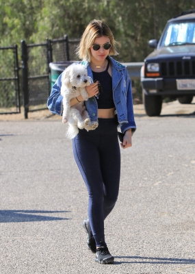 dogpark201118-106.jpg