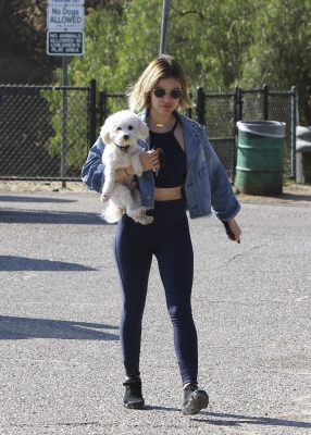 dogpark201118-109.jpg