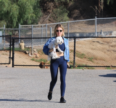 dogpark201118-112.jpg