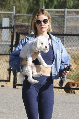 dogpark201118-116.jpg