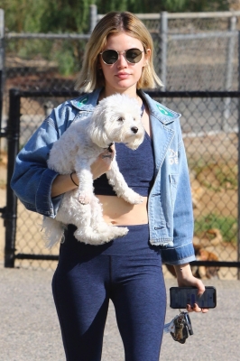 dogpark201118-118.jpg