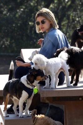 dogpark201118-129.jpg