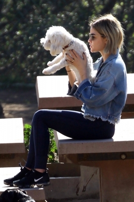 dogpark201118-131.jpg