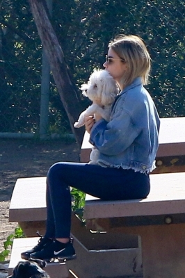 dogpark201118-133.jpg