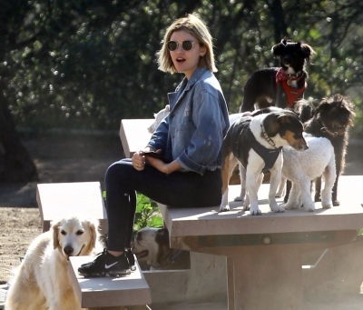 dogpark201118-134.jpg