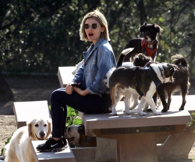 dogpark201118-135.jpg