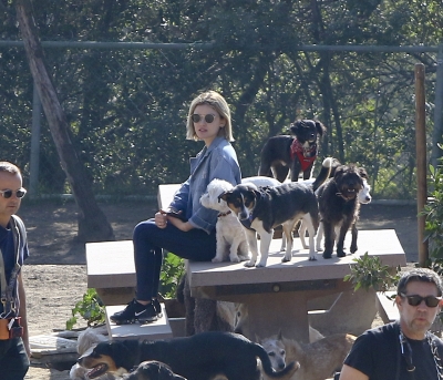 dogpark201118-136.jpg