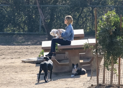 dogpark201118-138.jpg