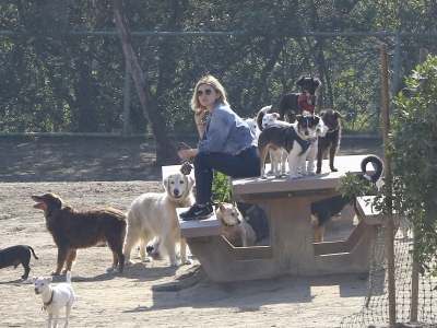 dogpark201118-140.jpg