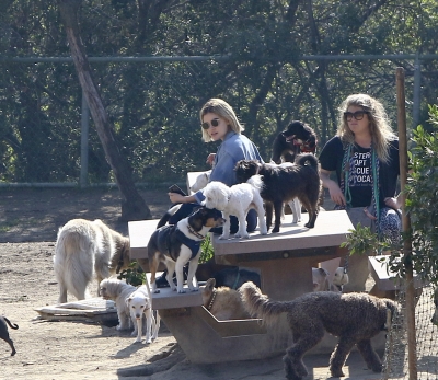 dogpark201118-141.jpg