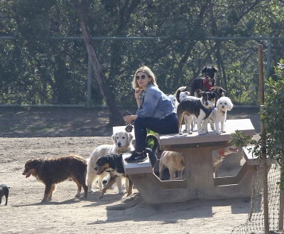 dogpark201118-142.jpg