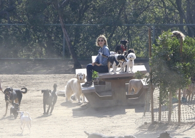 dogpark201118-143.jpg