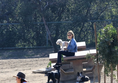 dogpark201118-144.jpg