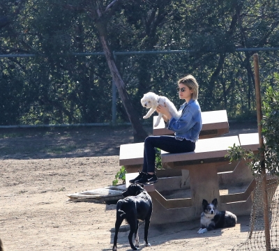 dogpark201118-145.jpg