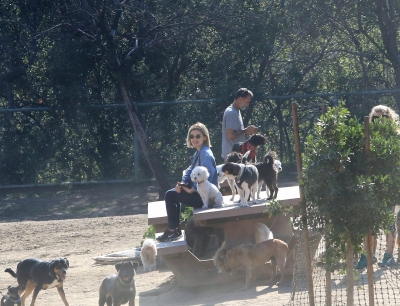 dogpark201118-146.jpg