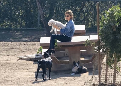 dogpark201118-148.jpg