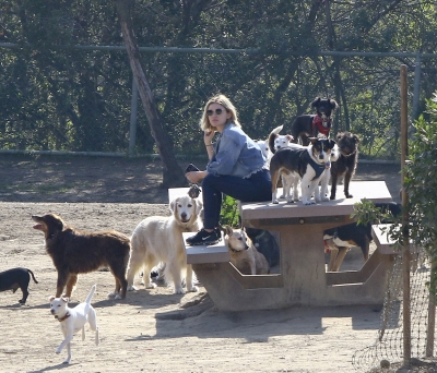 dogpark201118-149.jpg