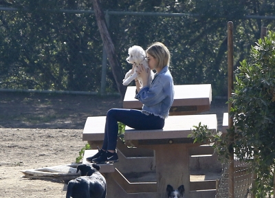 dogpark201118-15.jpg