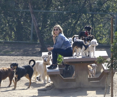 dogpark201118-151.jpg