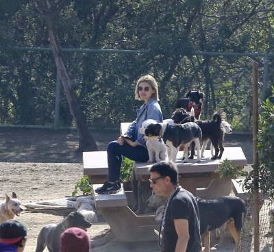 dogpark201118-152.jpg