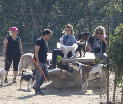 dogpark201118-153.jpg