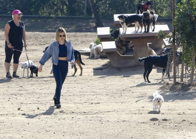 dogpark201118-154.jpg