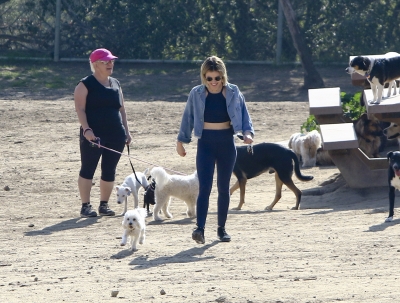 dogpark201118-155.jpg