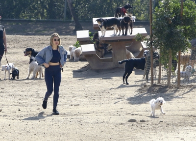 dogpark201118-156.jpg
