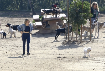 dogpark201118-157.jpg