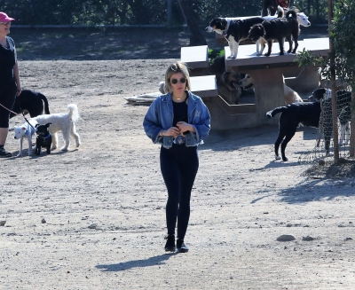 dogpark201118-158.jpg