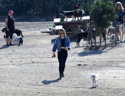dogpark201118-160.jpg