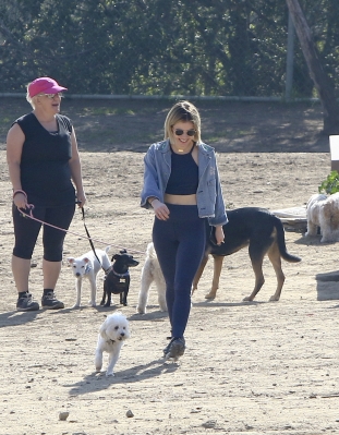 dogpark201118-161.jpg