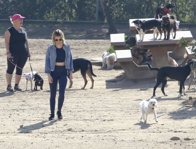 dogpark201118-162.jpg