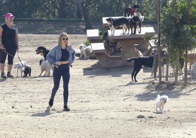 dogpark201118-163.jpg
