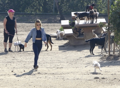 dogpark201118-164.jpg