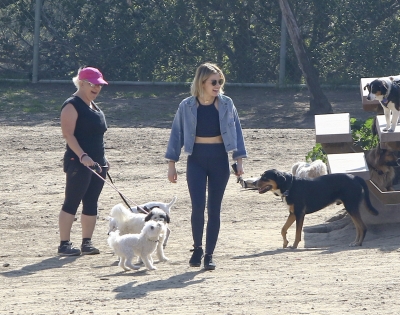 dogpark201118-165.jpg