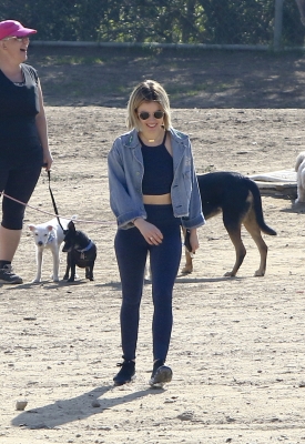 dogpark201118-168.jpg