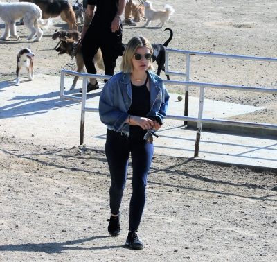 dogpark201118-169.jpg