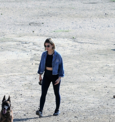 dogpark201118-170.jpg