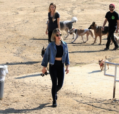 dogpark201118-177.jpg