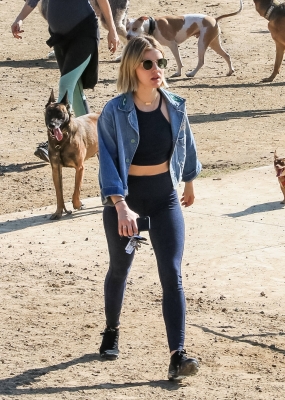 dogpark201118-178.jpg