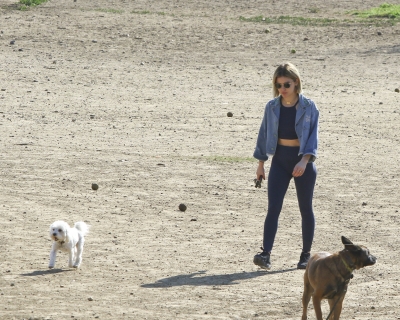 dogpark201118-180.jpg