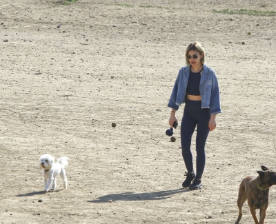 dogpark201118-181.jpg