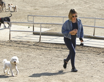dogpark201118-183.jpg