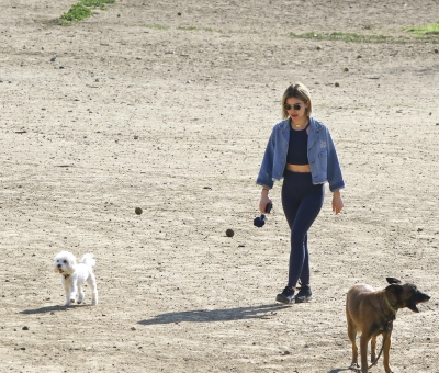 dogpark201118-184.jpg
