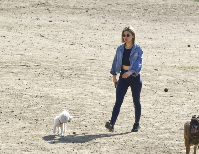 dogpark201118-185.jpg