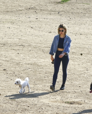 dogpark201118-187.jpg