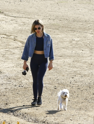 dogpark201118-188.jpg