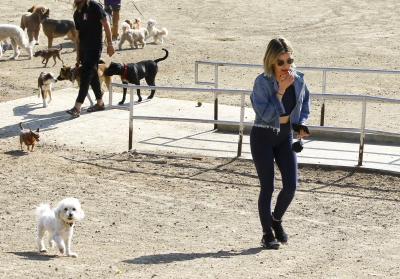 dogpark201118-189.jpg